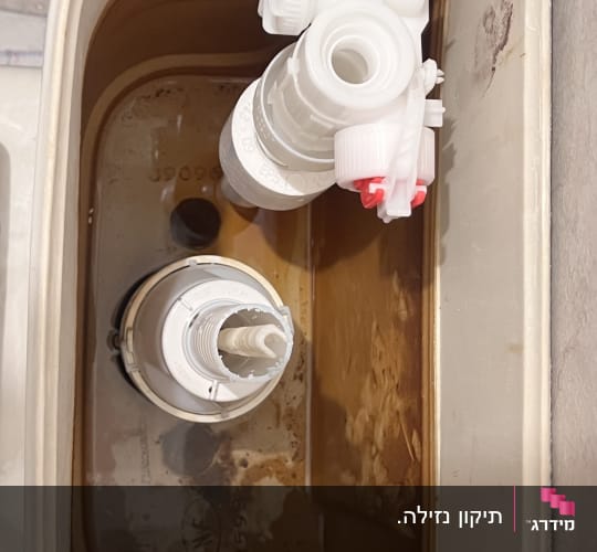 מבט פנימי לתוך ניאגרה גלויה עם מנגנון הדחה ומצוף